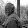 jim harrison flammarion
